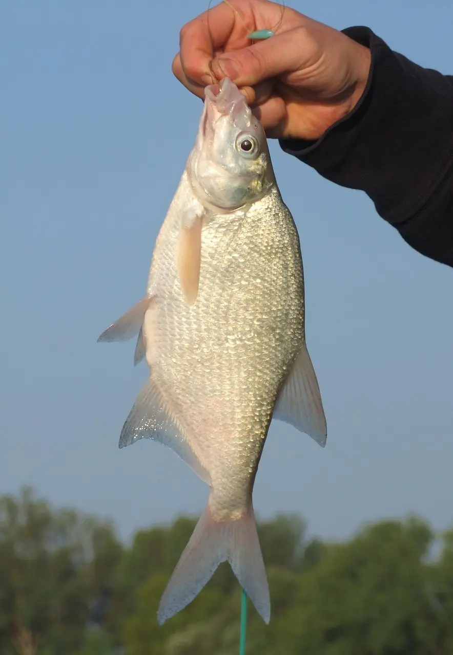 爱游戏体育赛事回顾 - 爱游戏1